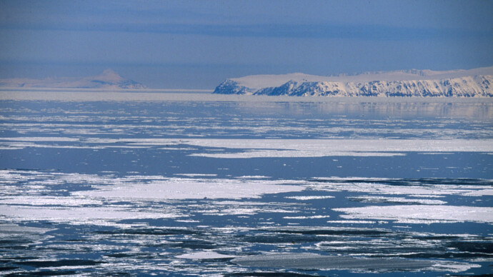 картинка статьи