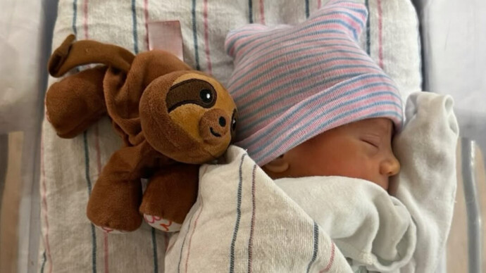 картинка статьи