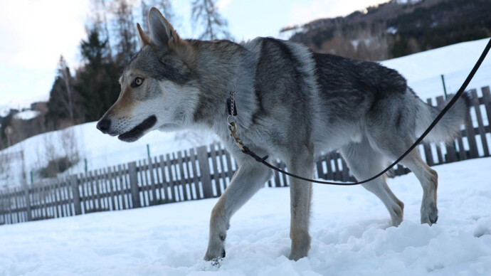 картинка статьи