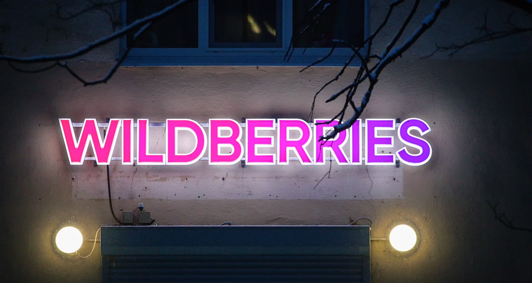 Стало известно, будут ли переименовывать Wildberries в «Ягодки»