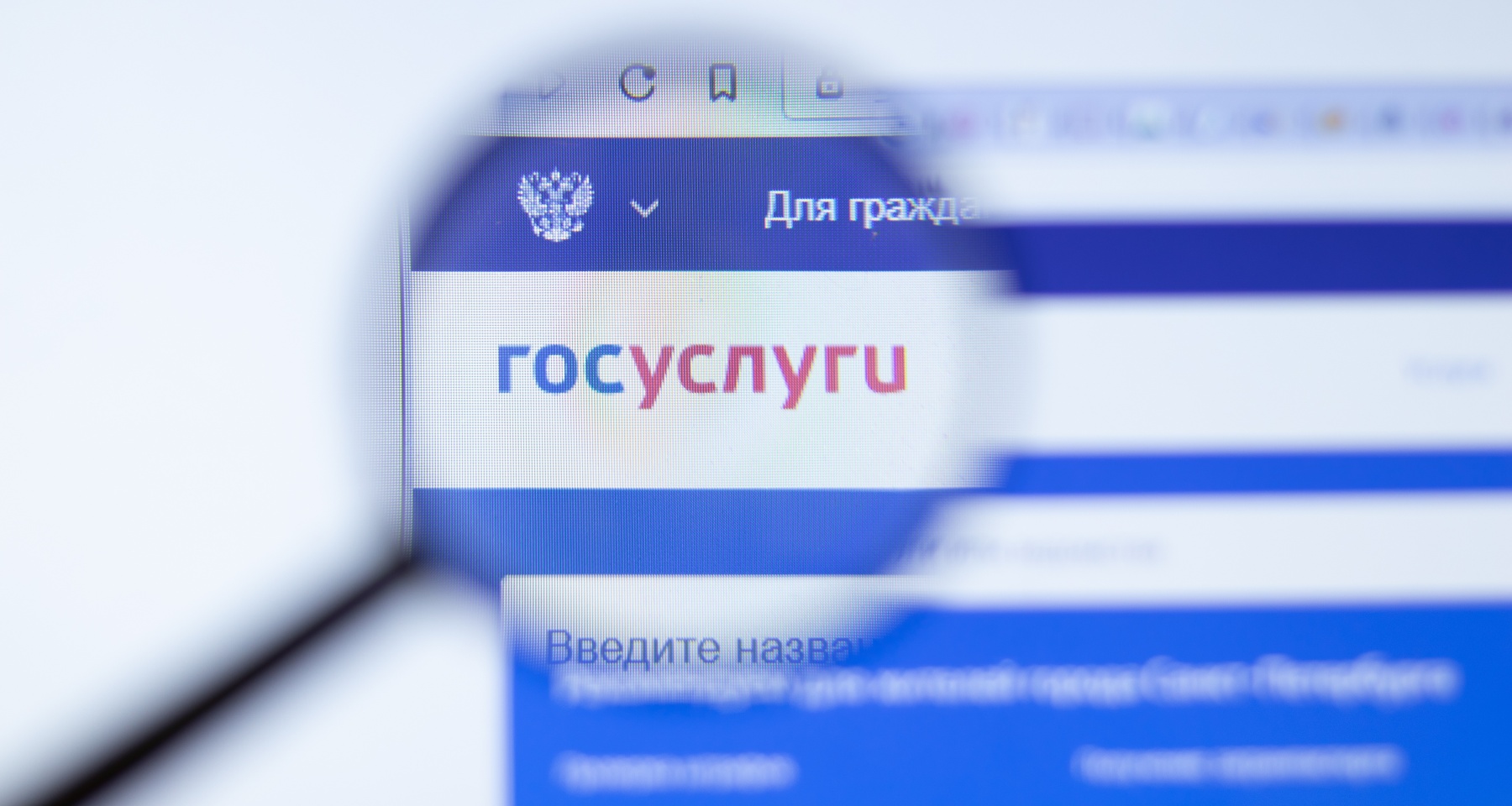 Россиян предупредили о новой опасной схеме мошенников с «Госуслугами»