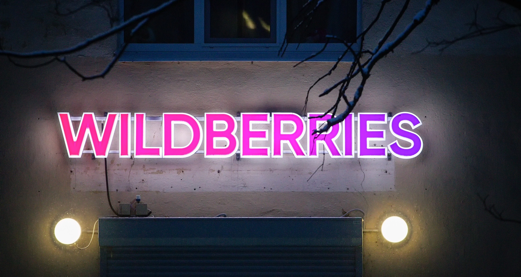 Татьяна Бакальчук сообщила, что будет с Wildberries после слияния