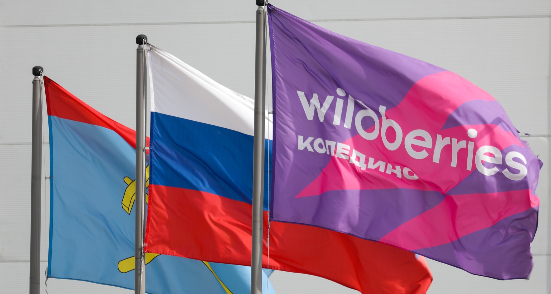 Wildberries запустил «российский TikTok» для покупателей, продавцов и блогеров